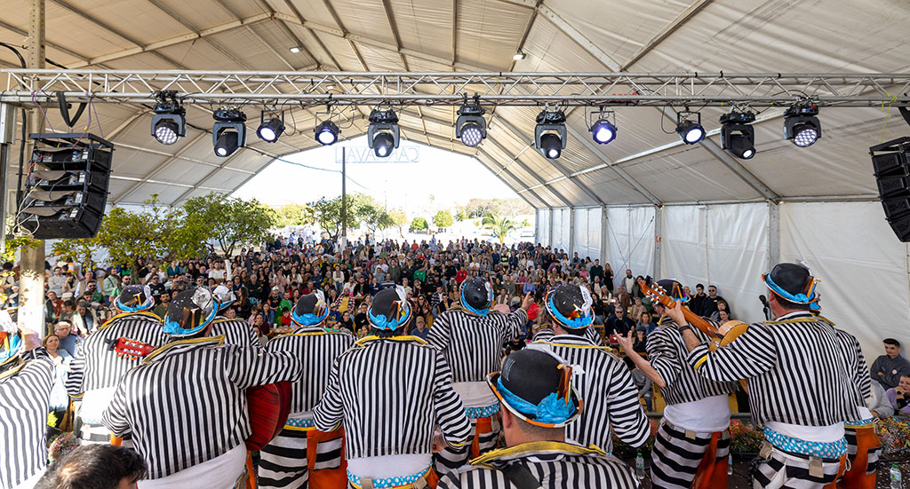 Mairena del Aljarafe consolida un Carnaval de Calle de primer nivel